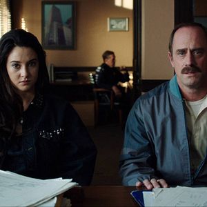 Foto White Bird in a Blizzard