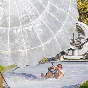 Foto jackass forever