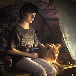 Foto King, mi pequeño rey