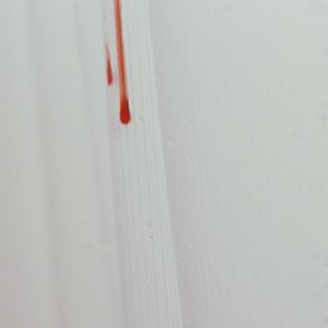 Foto Trouble Every Day