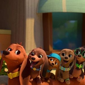 Foto Pretzel y sus cachorros