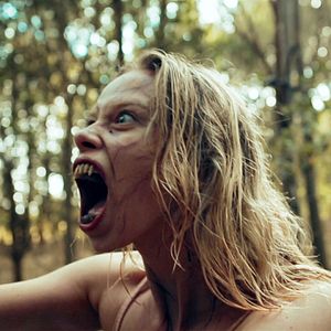 Foto The Witches Of Dumpling Farm