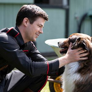 Foto El rescate de Ruby