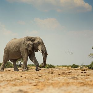 Foto El paraíso que sobrevive: un legado familiar