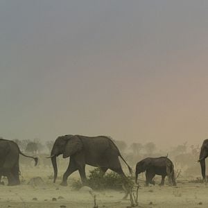 Foto El paraíso que sobrevive: un legado familiar