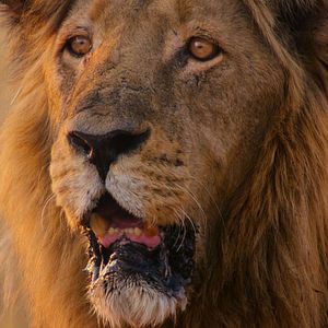 Foto El paraíso que sobrevive: un legado familiar