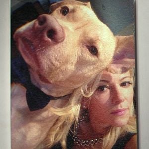 Foto Bad Vegan: Fama, fraudes y fugas