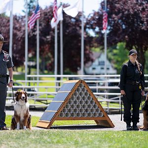 Foto El rescate de Ruby