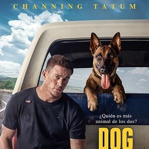 Foto Dog. Un viaje salvaje