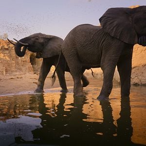 Foto Parques Nacionales majestuosos