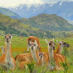 Foto Parques Nacionales majestuosos