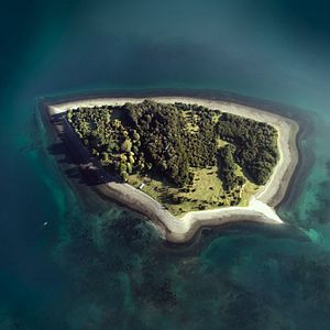 Foto Algunas bestias