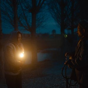 Foto El regreso de las golondrinas