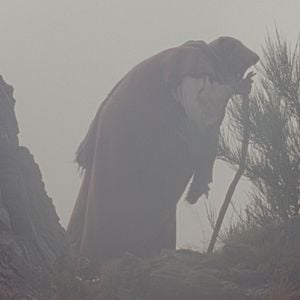 Foto Elsa Wolliaston