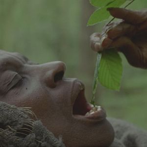 Foto Elsa Wolliaston