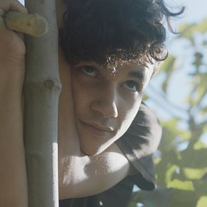 Foto Entre las higueras