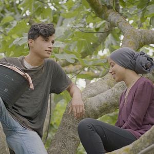 Foto Entre las higueras