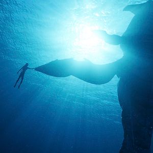 Foto Avatar: El sentido del agua