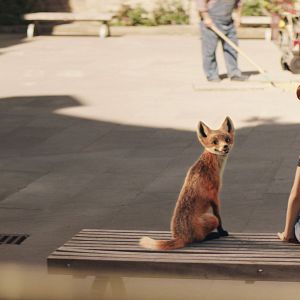 Foto El colegio de los animales mágicos 2: El origen