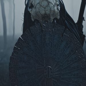 Foto Predator: La presa