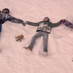 Foto Ollie está perdido