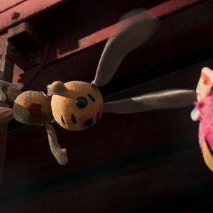 Foto Ollie está perdido