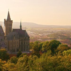 Foto El colegio de los animales mágicos 2: El origen