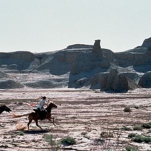 Foto Tigre y Dragón