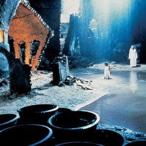 Foto Tigre y Dragón