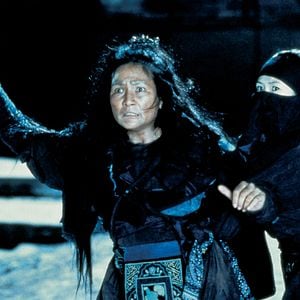 Foto Tigre y Dragón