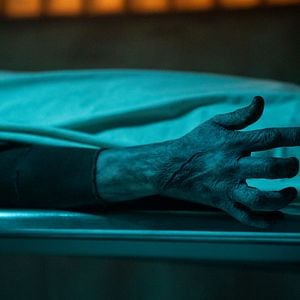 Foto El gabinete de curiosidades de Guillermo del Toro