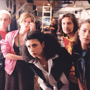 Foto Cada uno busca su gato