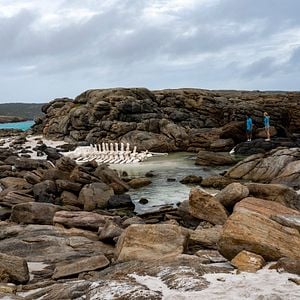 Foto Nadando en libertad