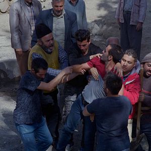 Foto Los osos no existen