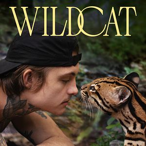 Foto Wildcat