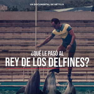 Foto ¿Qué le pasó al rey de los delfines?