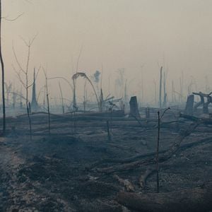 Foto Amazonas: Territorio límite