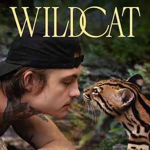 Foto Wildcat