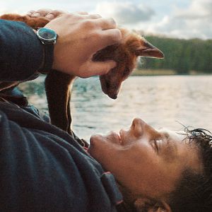 Foto El Zorro (Der Fuchs)