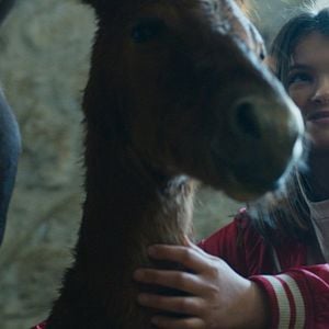 Foto Zoe y Tempestad