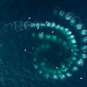 Foto Las guardianas del planeta