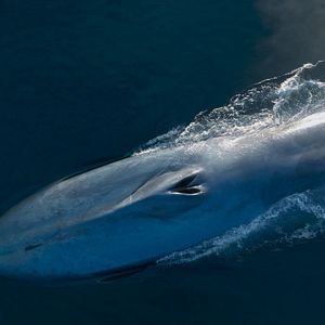 Foto Las guardianas del planeta