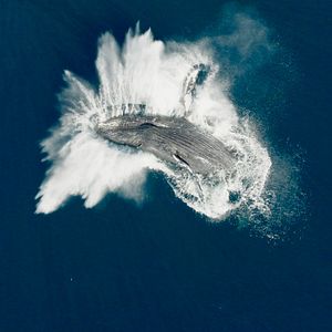 Foto Las guardianas del planeta