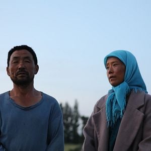 Foto El regreso de las golondrinas