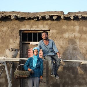 Foto El regreso de las golondrinas