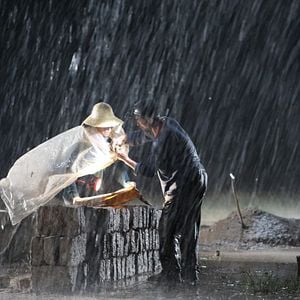 Foto El regreso de las golondrinas