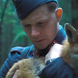 Foto El Zorro (Der Fuchs)