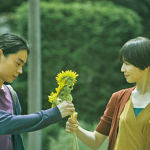 Foto A Hundred Flowers