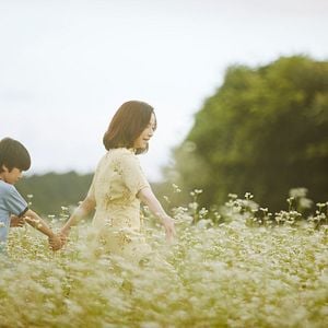 Foto A Hundred Flowers