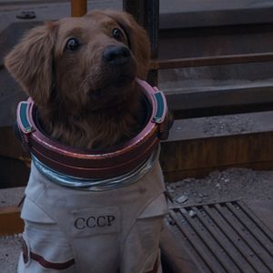 Foto Guardianes de la Galaxia: Volumen 3